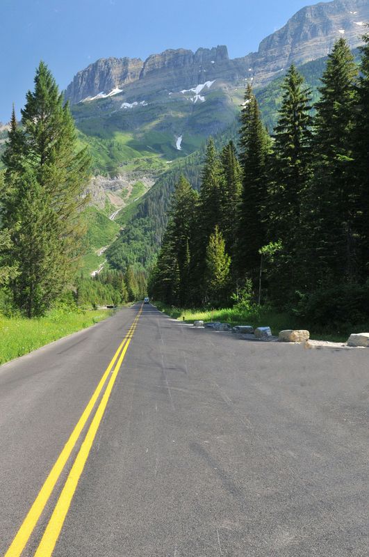A road going through a forest with mountains in the background