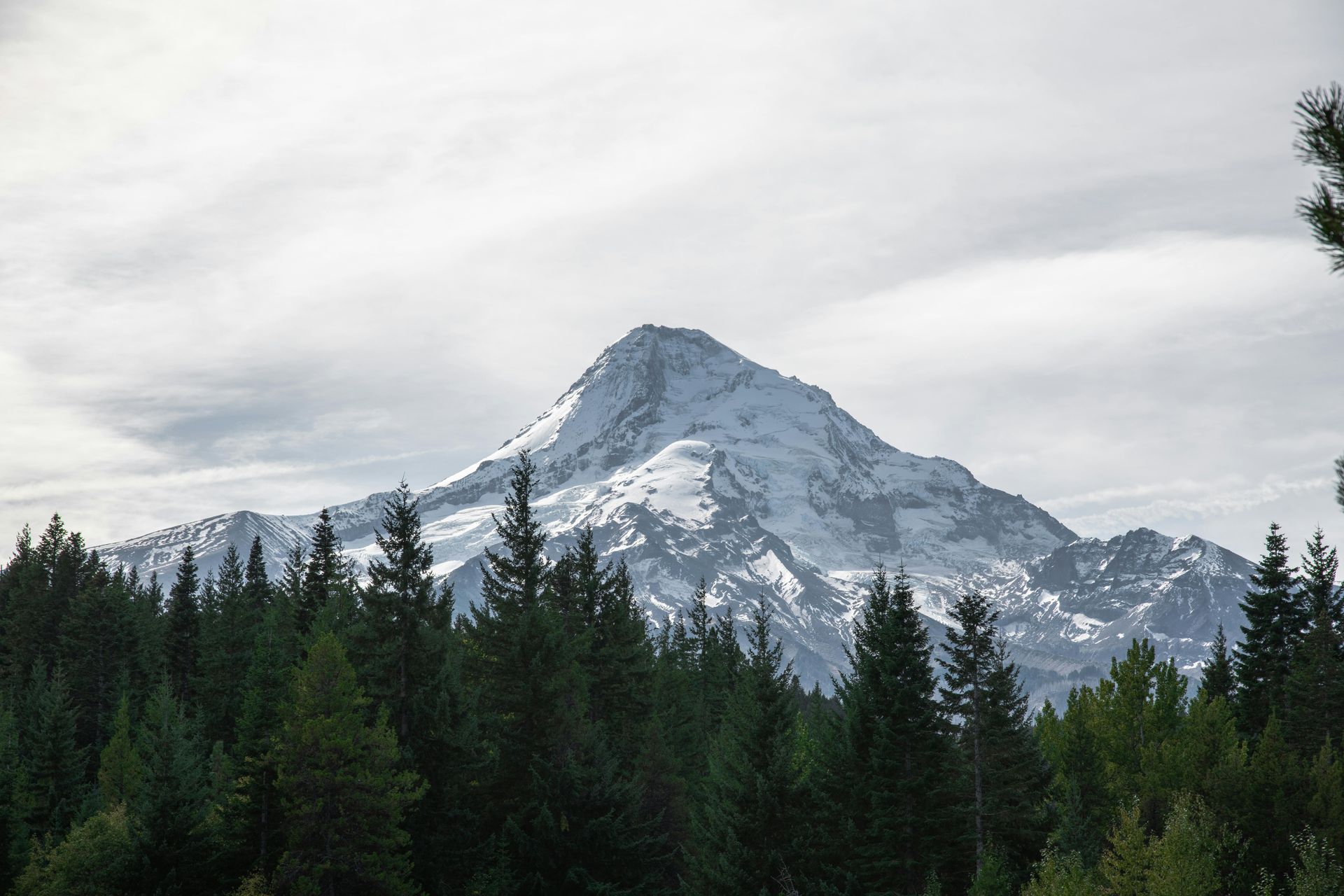 A snowy mountain surrounded by trees on a cloudy day